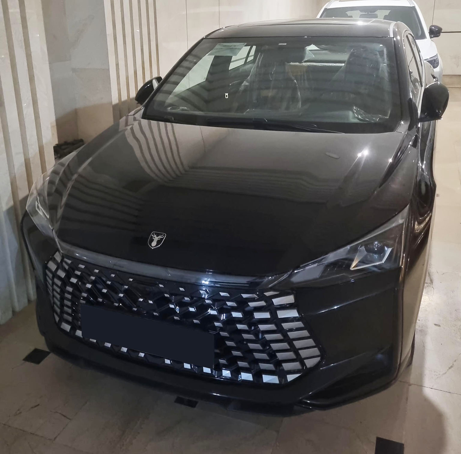 لاماری اکو