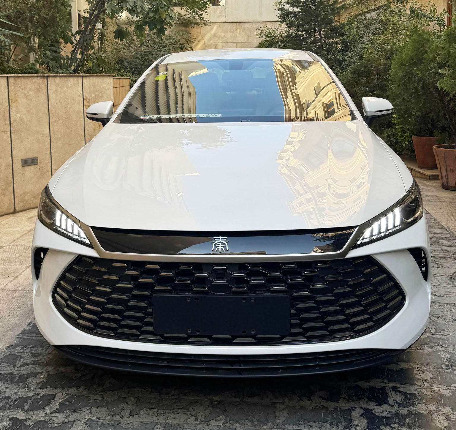 بی وای دی چین پلاس DMi